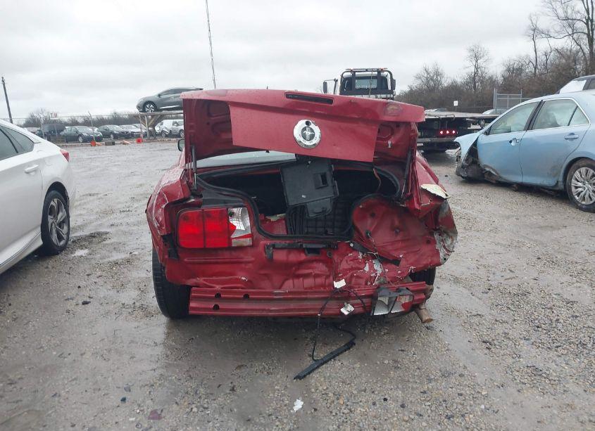 Photo 17 of 2008 Ford Mustang V6 DELUXE/V6 PREMIUM (VIN 1ZVHT80N685150081)
