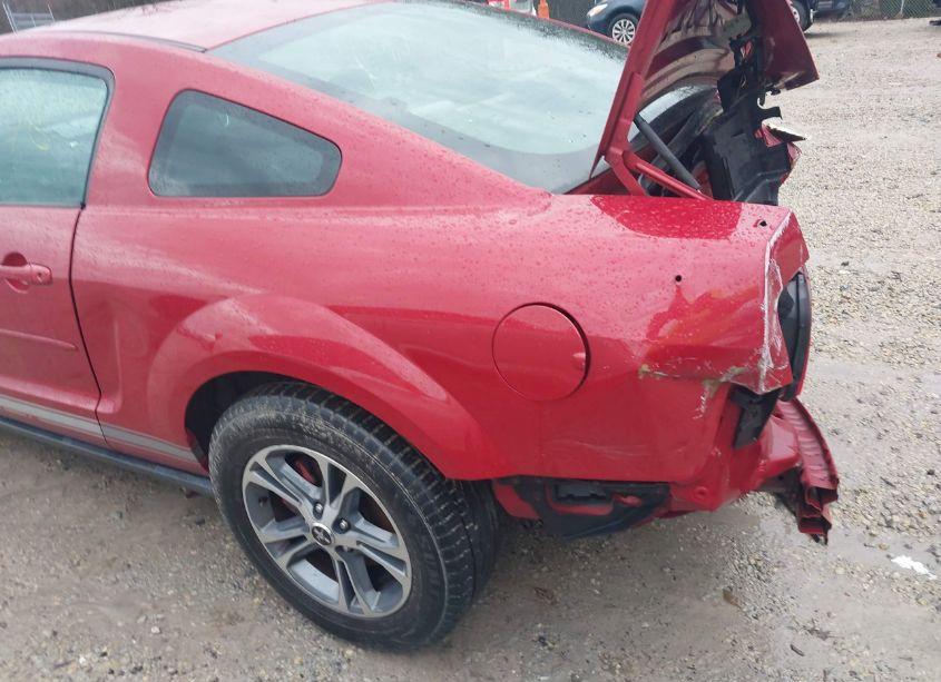 Photo 19 of 2008 Ford Mustang V6 DELUXE/V6 PREMIUM (VIN 1ZVHT80N685150081)