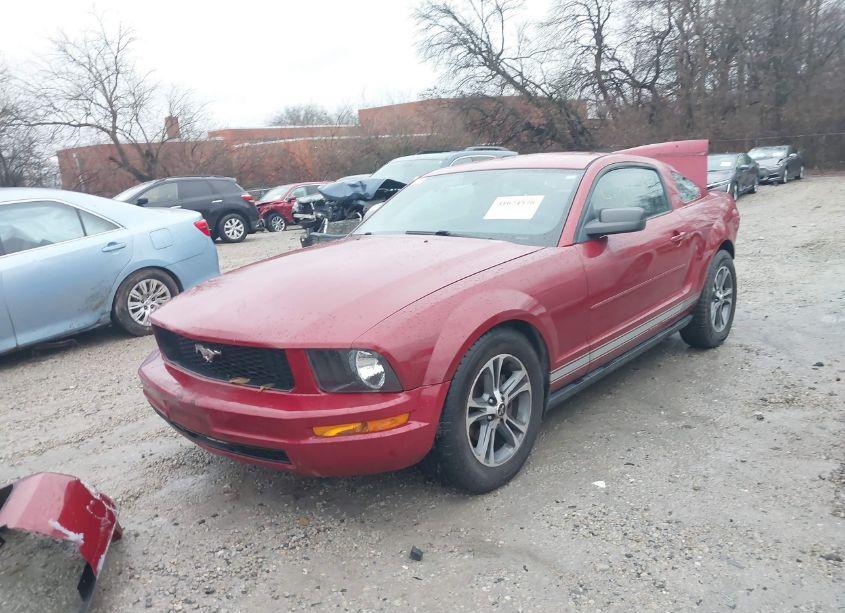 Photo 2 of 2008 Ford Mustang V6 DELUXE/V6 PREMIUM (VIN 1ZVHT80N685150081)