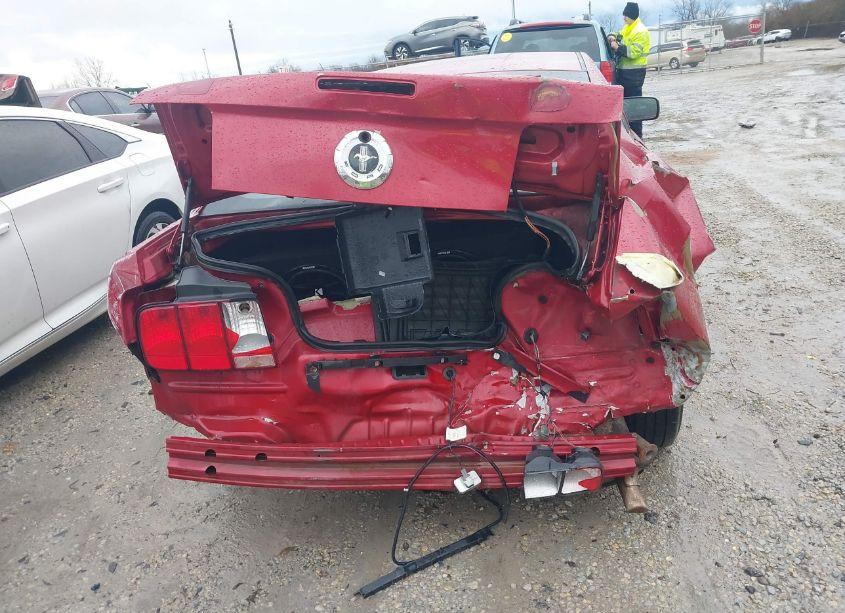 Photo 6 of 2008 Ford Mustang V6 DELUXE/V6 PREMIUM (VIN 1ZVHT80N685150081)