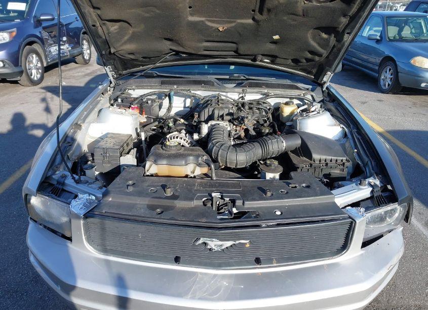 Photo 10 of 2008 Ford Mustang V6 DELUXE (VIN 1ZVHT80N685191200)