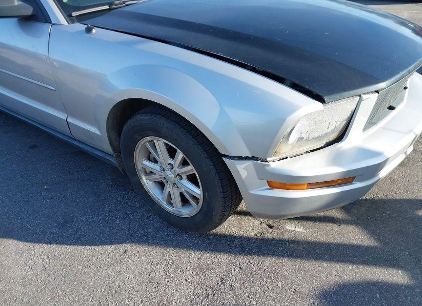 Photo 14 of 2008 Ford Mustang V6 DELUXE (VIN 1ZVHT80N685191200)