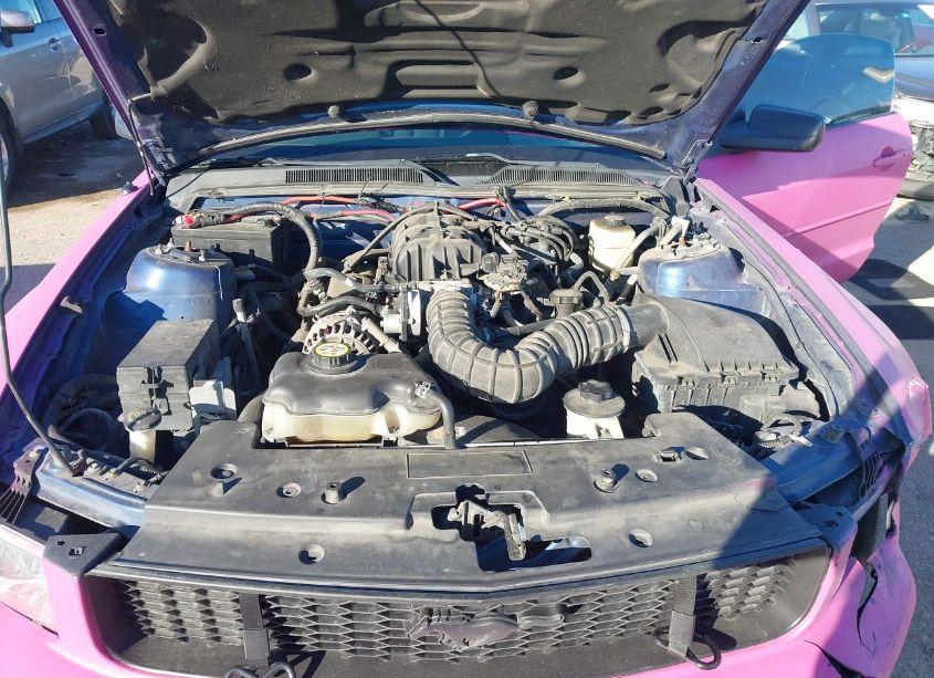 Photo 10 of 2008 Ford Mustang V6 DELUXE (VIN 1ZVHT80N685208917)