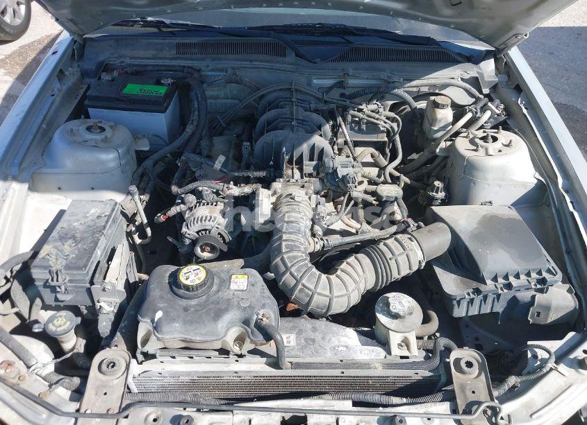 Photo 10 of 2009 Ford Mustang V6/V6 PREMIUM (VIN 1ZVHT80N695109225)