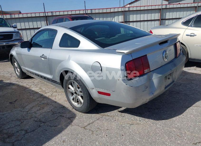 Photo 3 of 2009 Ford Mustang V6/V6 PREMIUM (VIN 1ZVHT80N695109225)