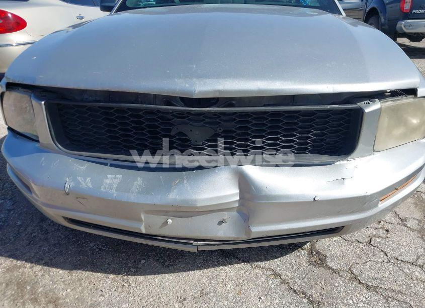 Photo 6 of 2009 Ford Mustang V6/V6 PREMIUM (VIN 1ZVHT80N695109225)