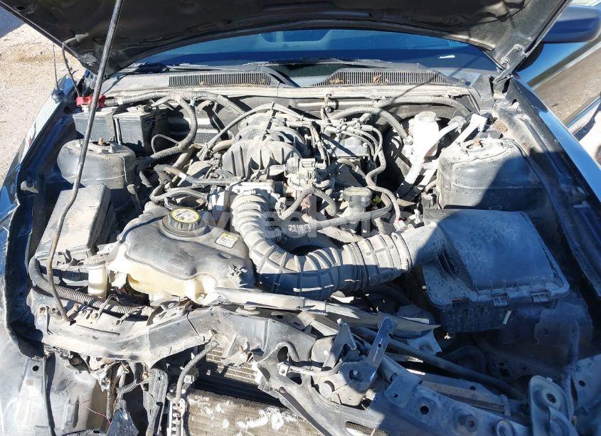 Photo 10 of 2009 Ford Mustang V6 PREMIUM (VIN 1ZVHT80N695130723)