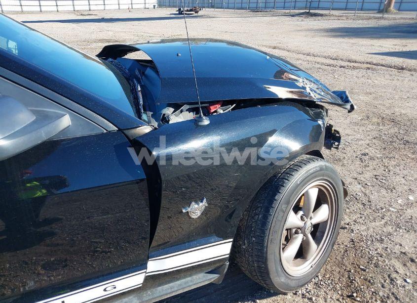 Photo 13 of 2009 Ford Mustang V6 PREMIUM (VIN 1ZVHT80N695130723)