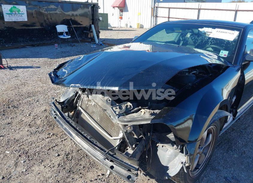 Photo 17 of 2009 Ford Mustang V6 PREMIUM (VIN 1ZVHT80N695130723)