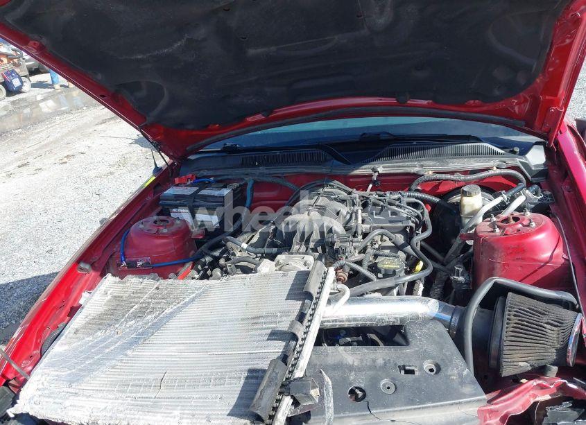 Photo 10 of 2009 Ford Mustang V6/V6 PREMIUM (VIN 1ZVHT80N695136392)