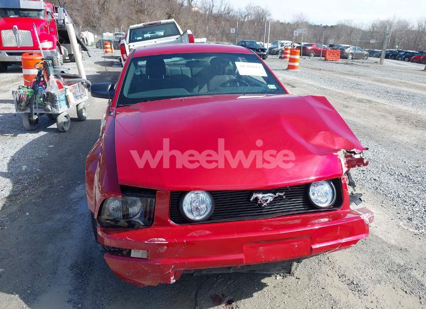 Photo 12 of 2009 Ford Mustang V6/V6 PREMIUM (VIN 1ZVHT80N695136392)