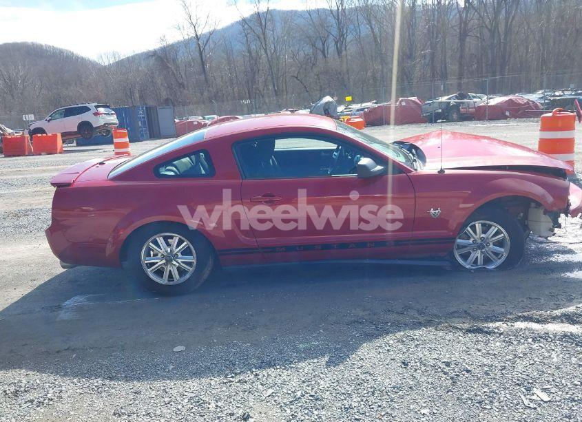 Photo 13 of 2009 Ford Mustang V6/V6 PREMIUM (VIN 1ZVHT80N695136392)