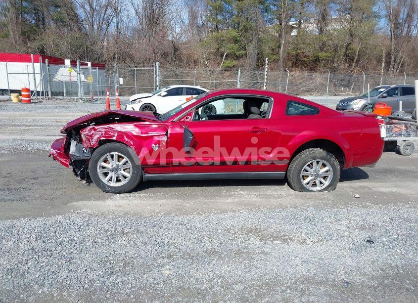 Photo 14 of 2009 Ford Mustang V6/V6 PREMIUM (VIN 1ZVHT80N695136392)
