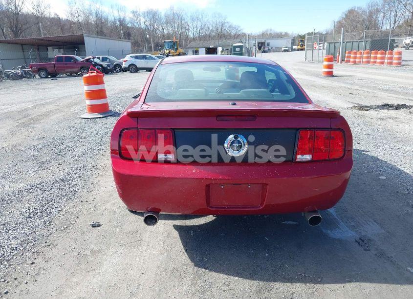 Photo 16 of 2009 Ford Mustang V6/V6 PREMIUM (VIN 1ZVHT80N695136392)