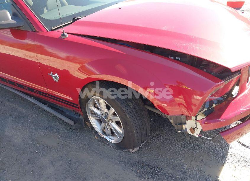 Photo 19 of 2009 Ford Mustang V6/V6 PREMIUM (VIN 1ZVHT80N695136392)
