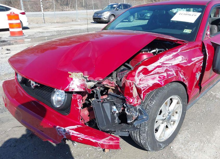 Photo 6 of 2009 Ford Mustang V6/V6 PREMIUM (VIN 1ZVHT80N695136392)