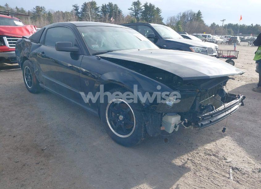 2009 Ford Mustang V6 (VIN 1ZVHT80N695137431) main photo
