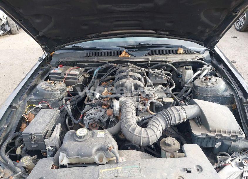 Photo 10 of 2009 Ford Mustang V6 (VIN 1ZVHT80N695137431)