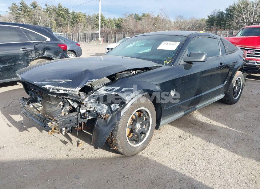 Photo 2 of 2009 Ford Mustang V6 (VIN 1ZVHT80N695137431)