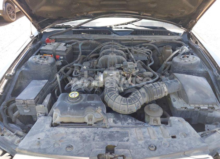 Photo 10 of 2009 Ford Mustang V6 PREMIUM (VIN 1ZVHT80N695146727)