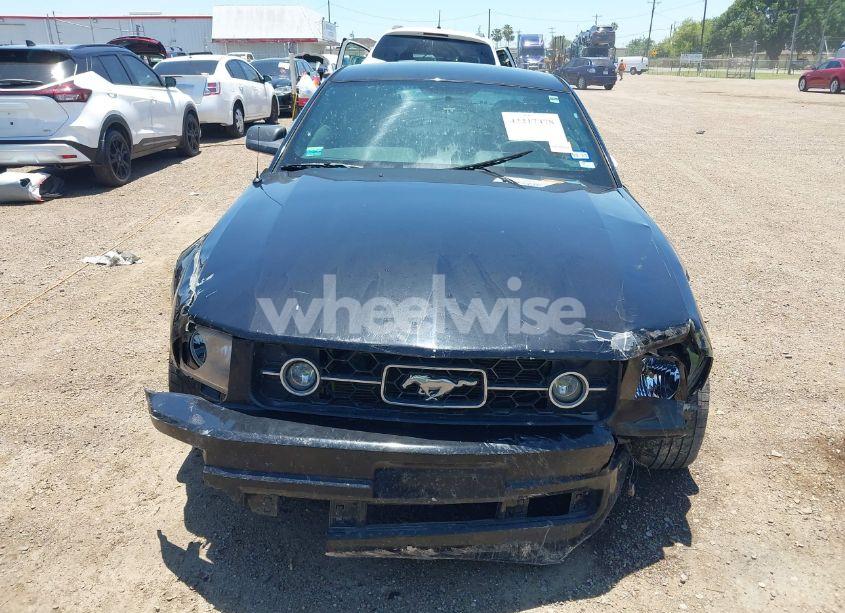 Photo 12 of 2009 Ford Mustang V6 PREMIUM (VIN 1ZVHT80N695146727)