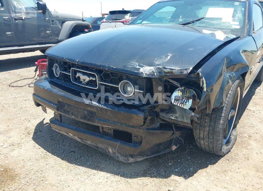 Photo 6 of 2009 Ford Mustang V6 PREMIUM (VIN 1ZVHT80N695146727)