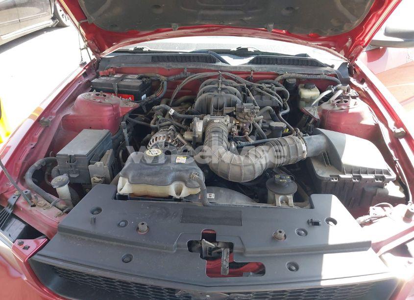 Photo 10 of 2006 Ford Mustang V6 (VIN 1ZVHT80N765239459)