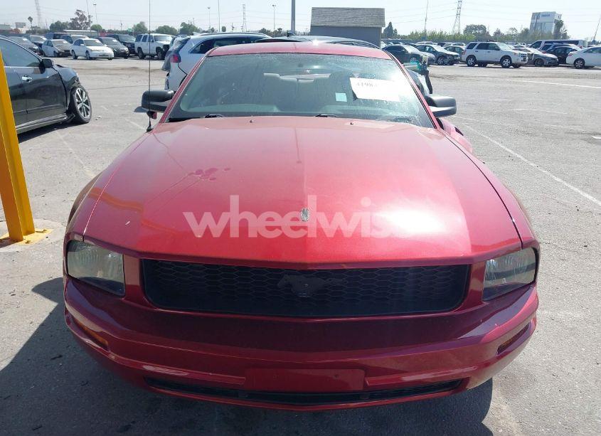 Photo 13 of 2006 Ford Mustang V6 (VIN 1ZVHT80N765239459)