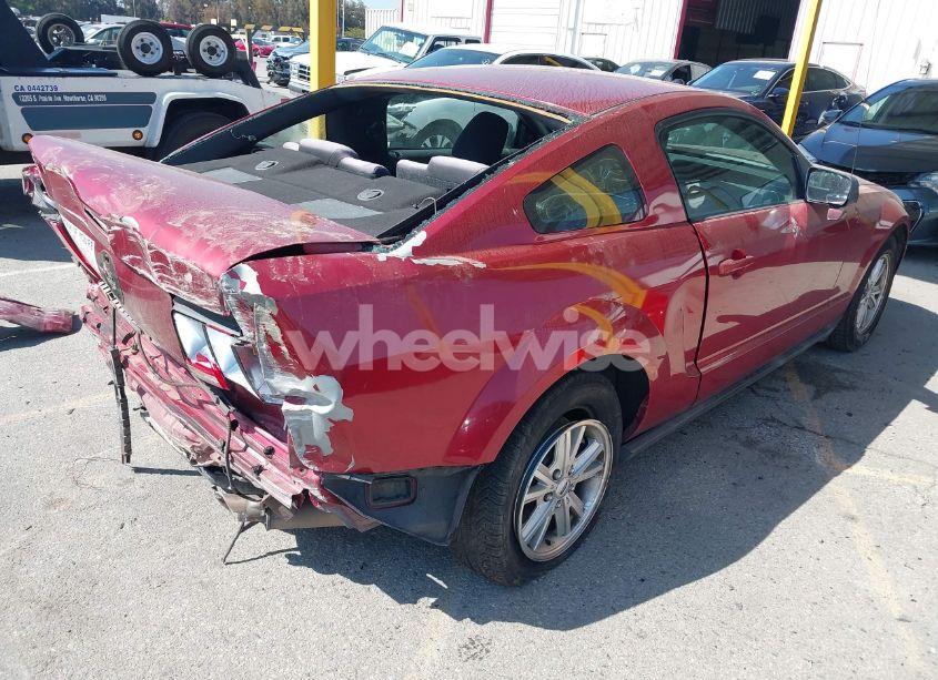 Photo 4 of 2006 Ford Mustang V6 (VIN 1ZVHT80N765239459)