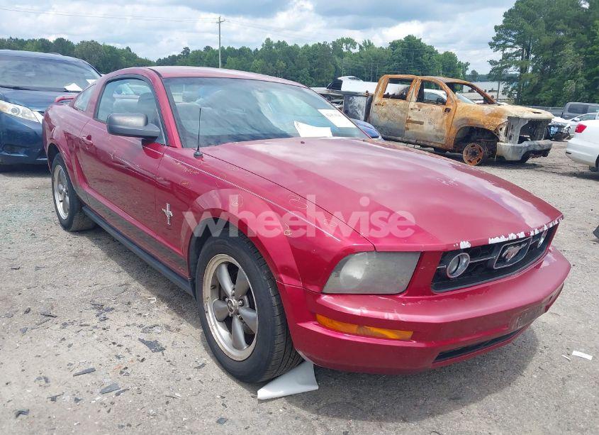 2006 Ford Mustang V6 (VIN 1ZVHT80N765239610) main photo