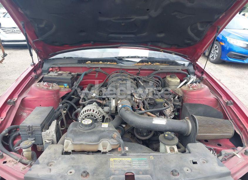 Photo 10 of 2006 Ford Mustang V6 (VIN 1ZVHT80N765239610)