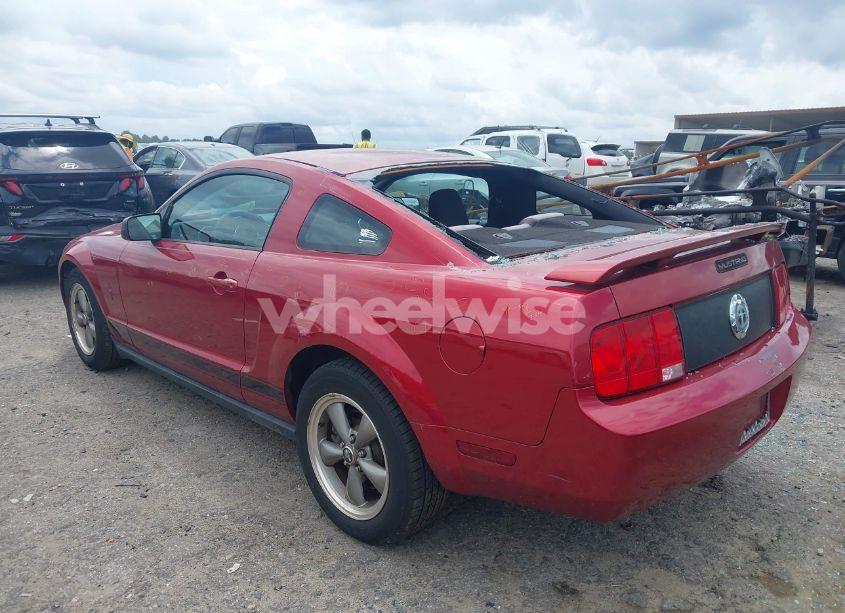 Photo 3 of 2006 Ford Mustang V6 (VIN 1ZVHT80N765239610)