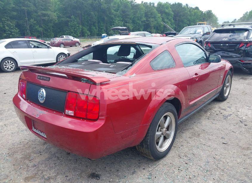 Photo 4 of 2006 Ford Mustang V6 (VIN 1ZVHT80N765239610)