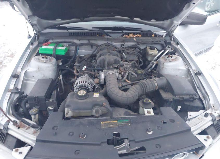 Photo 10 of 2007 Ford Mustang V6 DELUXE/V6 PREMIUM (VIN 1ZVHT80N775279428)