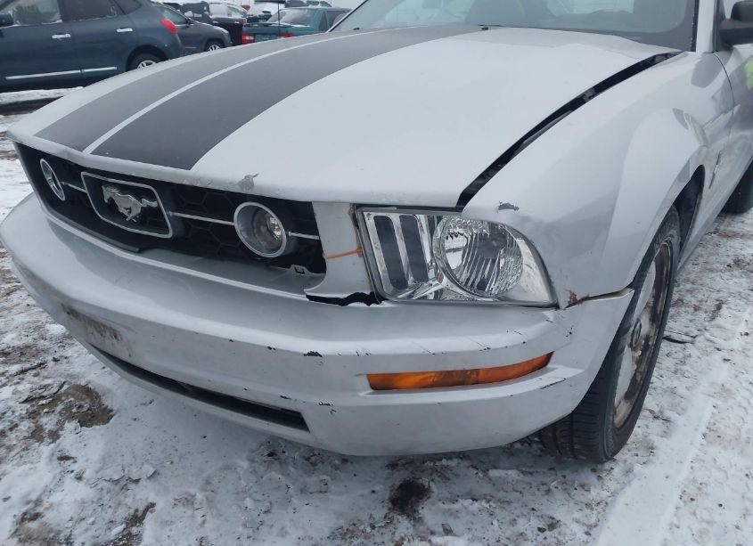 Photo 6 of 2007 Ford Mustang V6 DELUXE/V6 PREMIUM (VIN 1ZVHT80N775279428)
