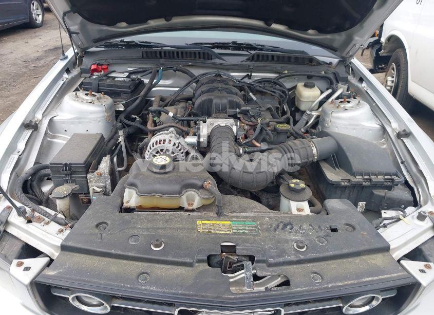 Photo 10 of 2008 Ford Mustang V6 DELUXE/V6 PREMIUM (VIN 1ZVHT80N785160327)
