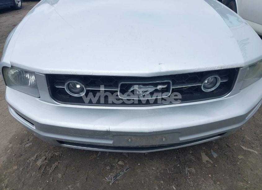 Photo 6 of 2008 Ford Mustang V6 DELUXE/V6 PREMIUM (VIN 1ZVHT80N785160327)