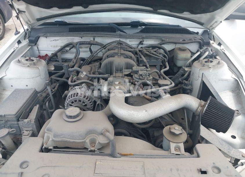 Photo 10 of 2008 Ford Mustang V6 DELUXE/V6 PREMIUM (VIN 1ZVHT80N785191416)