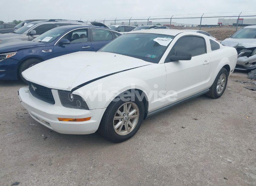 Photo 2 of 2008 Ford Mustang V6 DELUXE/V6 PREMIUM (VIN 1ZVHT80N785191416)