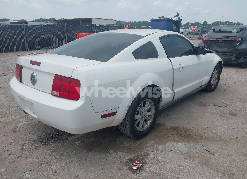 Photo 4 of 2008 Ford Mustang V6 DELUXE/V6 PREMIUM (VIN 1ZVHT80N785191416)