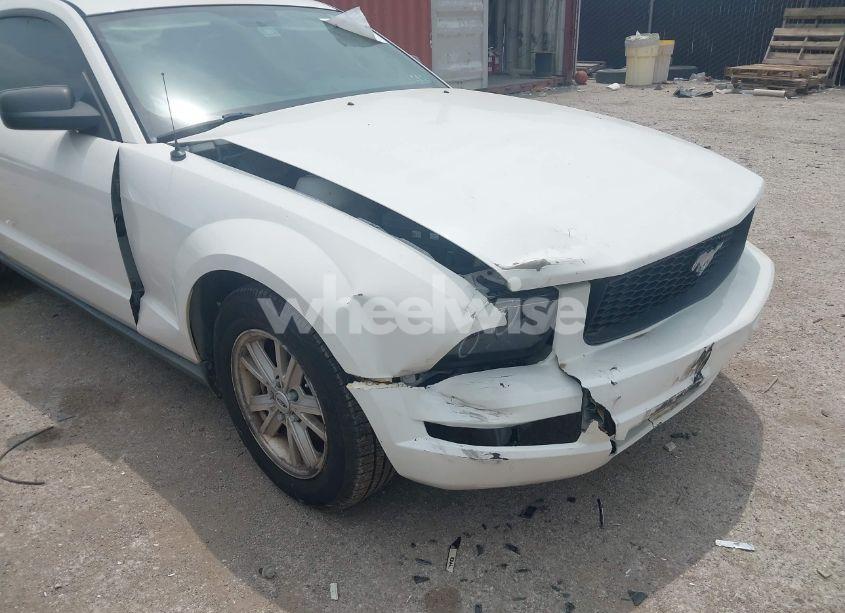 Photo 6 of 2008 Ford Mustang V6 DELUXE/V6 PREMIUM (VIN 1ZVHT80N785191416)