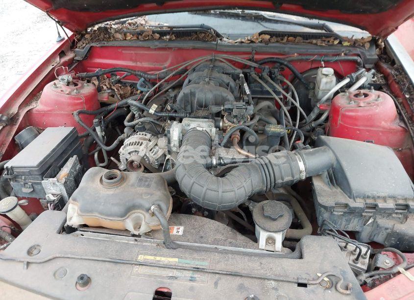 Photo 10 of 2009 Ford Mustang V6/V6 PREMIUM (VIN 1ZVHT80N795115566)