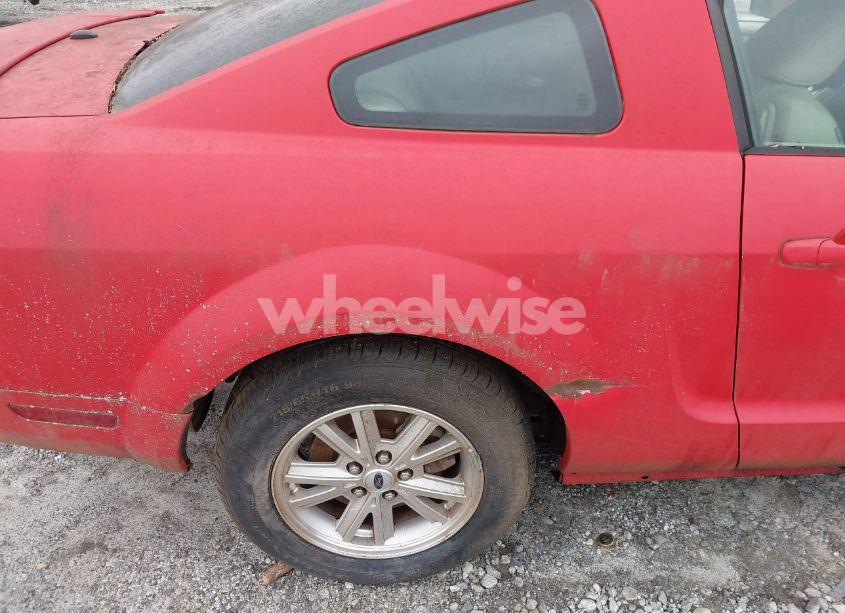 Photo 6 of 2009 Ford Mustang V6/V6 PREMIUM (VIN 1ZVHT80N795115566)