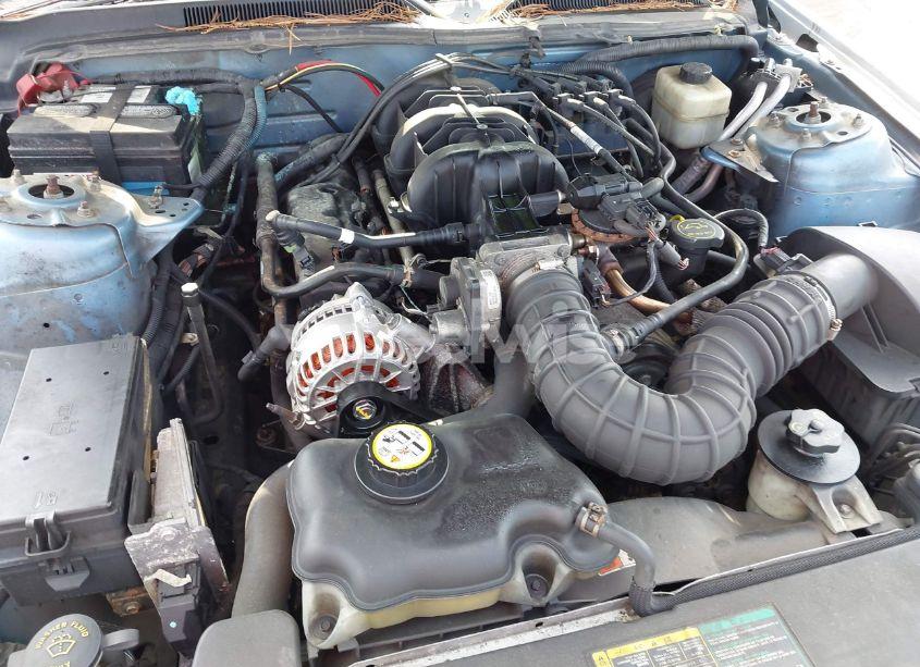 Photo 10 of 2006 Ford Mustang V6 (VIN 1ZVHT80N865246114)