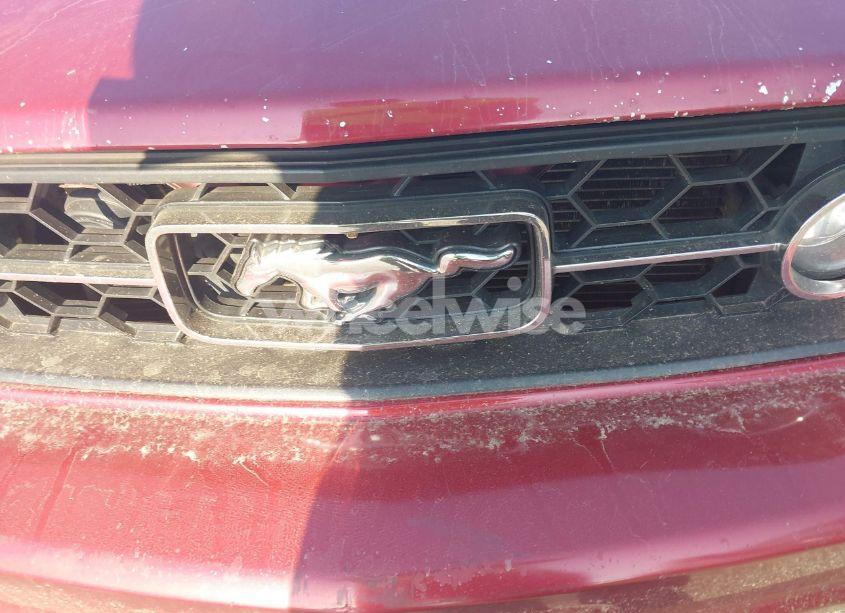 Photo 12 of 2007 Ford Mustang V6 DELUXE/V6 PREMIUM (VIN 1ZVHT80N875237169)