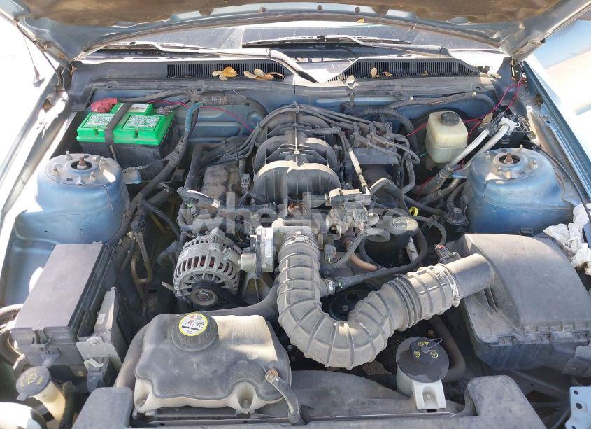 Photo 10 of 2008 Ford Mustang V6 DELUXE/V6 PREMIUM (VIN 1ZVHT80N885116630)