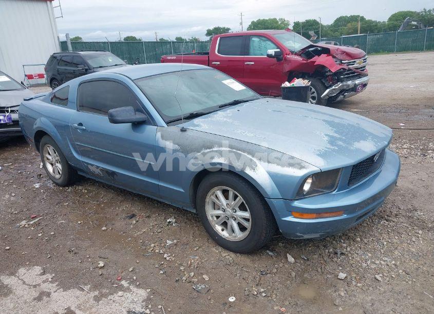 2008 Ford Mustang V6 DELUXE/V6 PREMIUM (VIN 1ZVHT80N885130396) main photo