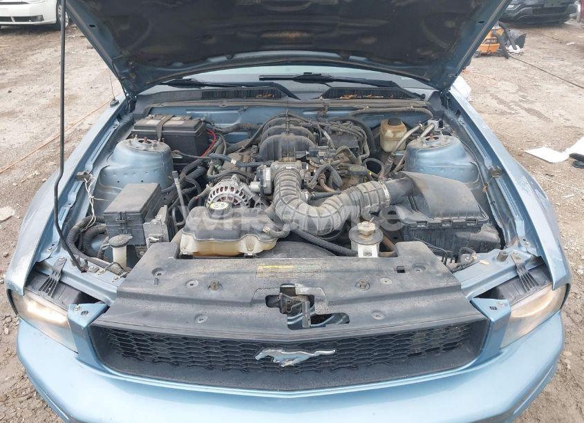 Photo 10 of 2008 Ford Mustang V6 DELUXE/V6 PREMIUM (VIN 1ZVHT80N885130396)