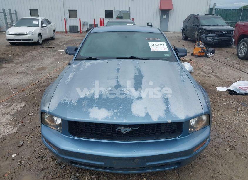 Photo 12 of 2008 Ford Mustang V6 DELUXE/V6 PREMIUM (VIN 1ZVHT80N885130396)