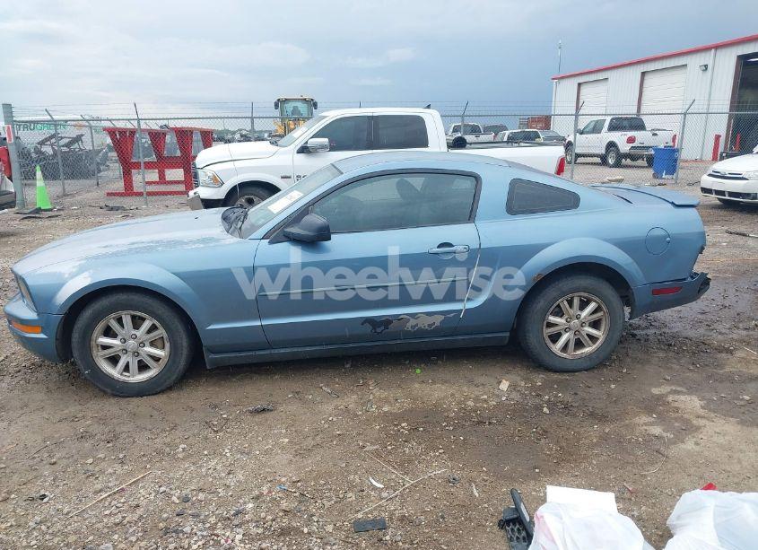 Photo 14 of 2008 Ford Mustang V6 DELUXE/V6 PREMIUM (VIN 1ZVHT80N885130396)